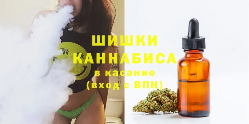 Каннабис семена  Кедровый 